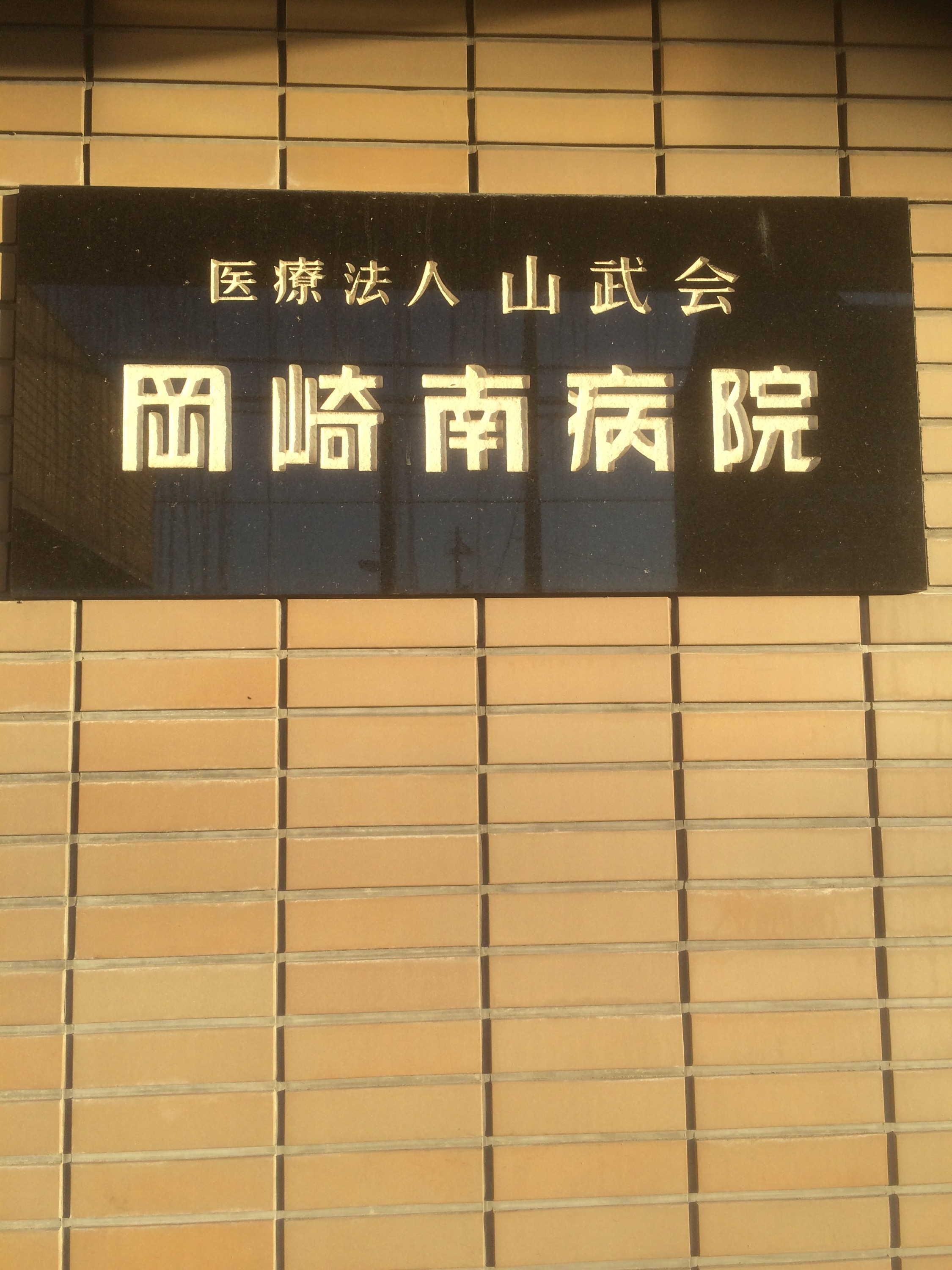 愛知県の岡崎南病院の写真